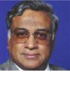 Prof. Sharma Chakravarthy, Unviersity of Texas at Arlington, USA